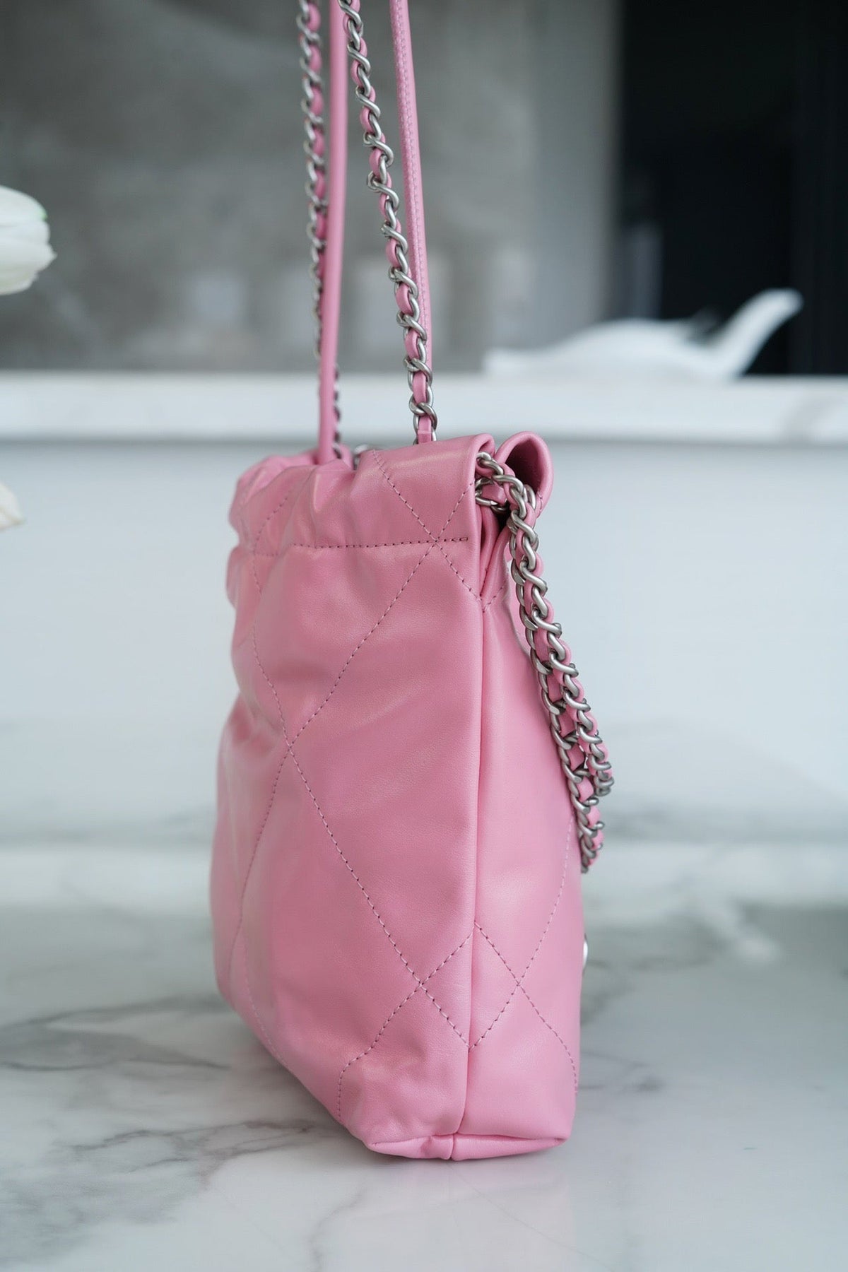 CHA 23s 22Mini Bag