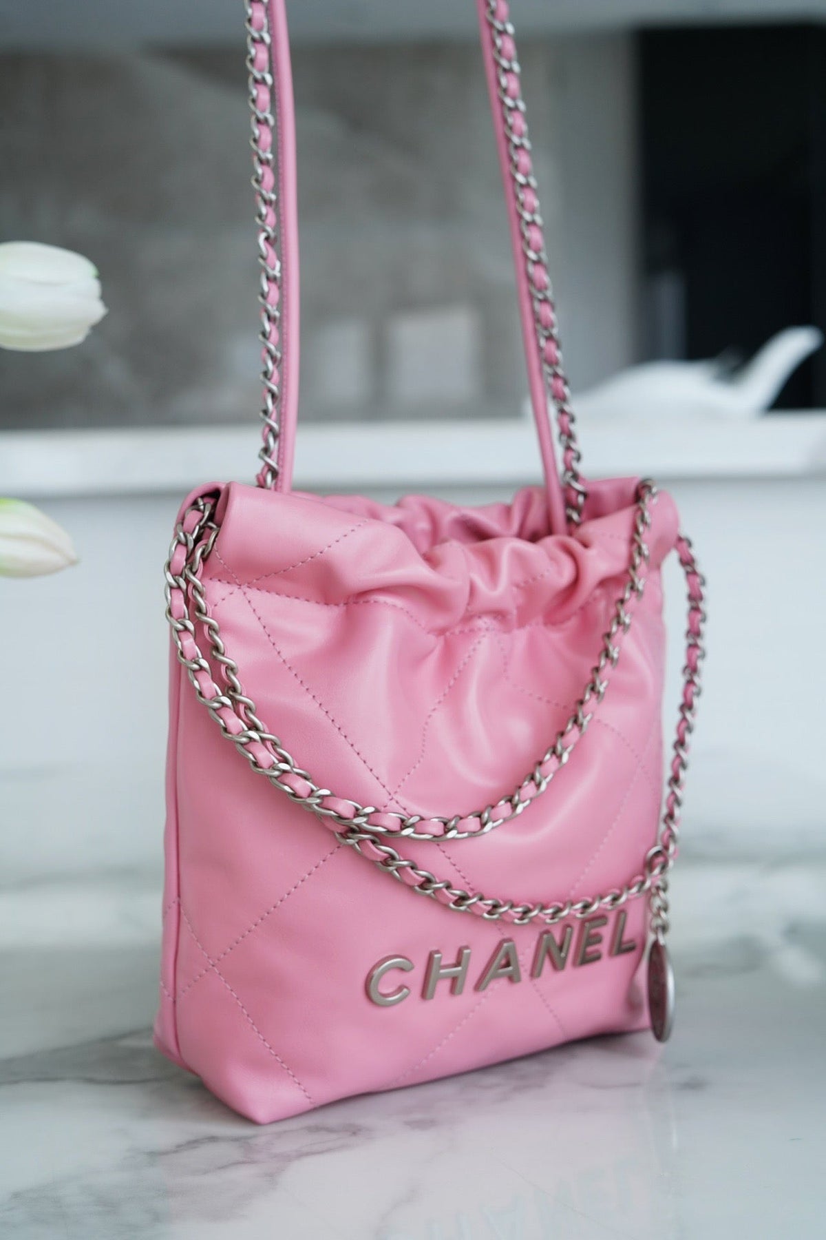 CHA 23s 22Mini Bag