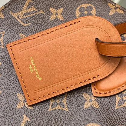 ONTHEGO ORGANIZER 37 IN BROWN COATED CANVAS AND CALFSKIN