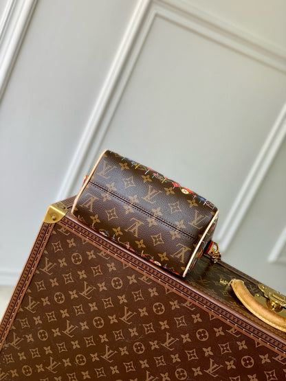 SPEEDY BANDOULIÈRE 20 BAG IN MULTICOLOR FLORAL CANVAS