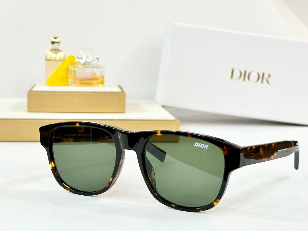MONTAIGNE SUNGLASS DIORFLAG2 IN ACETATE